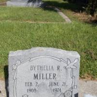 Bythelia R MILLER